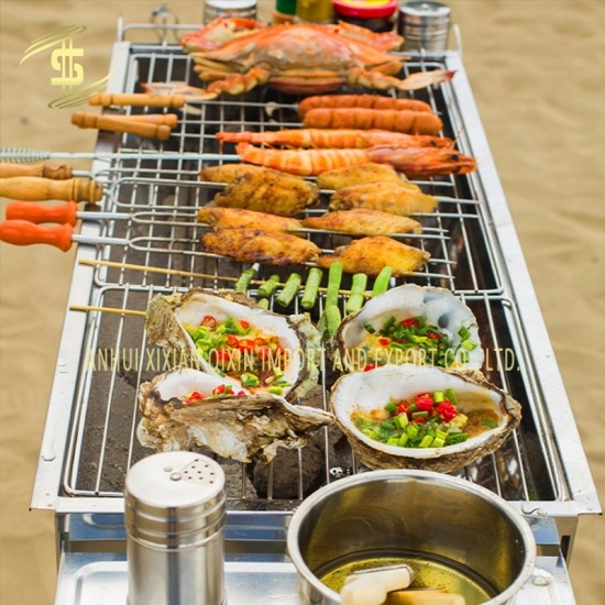 Best Price Household BBQ Outdoor Charcoal Grill Outdoor Stainless Steel Shelf 
